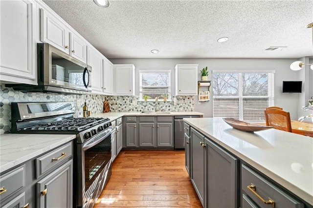 kitchen with light wood finished floors, plenty of natural light, gray cabinets, a sink, and stainless steel appliances