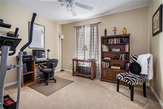 138 Victoria Ln, Lavonia, GA 30553 - home office with baseboards, carpet, a ceiling fan, and a textured ceiling