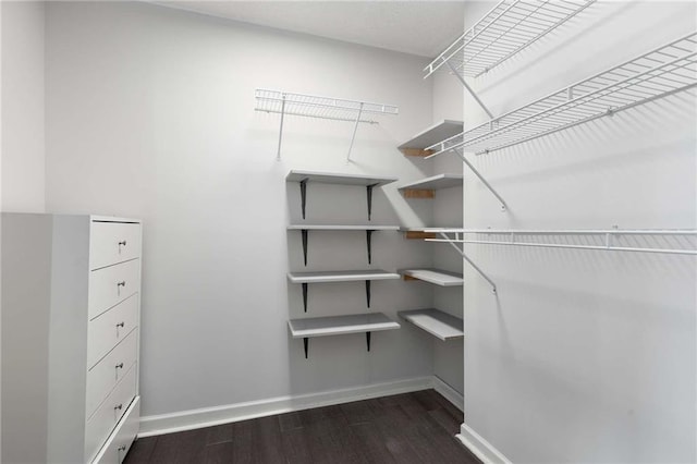 spacious closet with dark wood-style floors