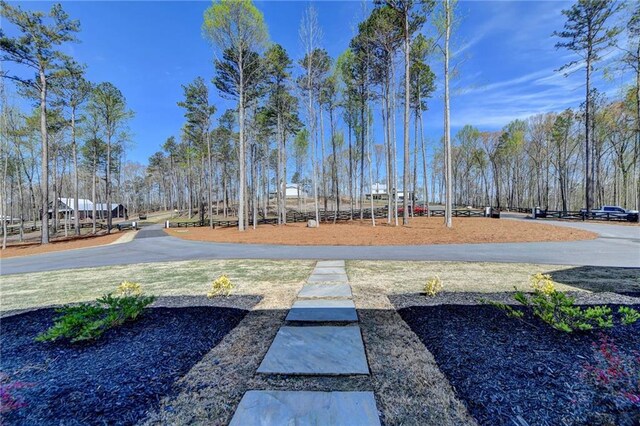 132 Swift Creek Way, Jefferson, GA 30549 - view of yard