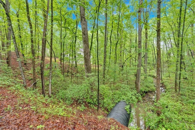 view of nature with a view of trees
