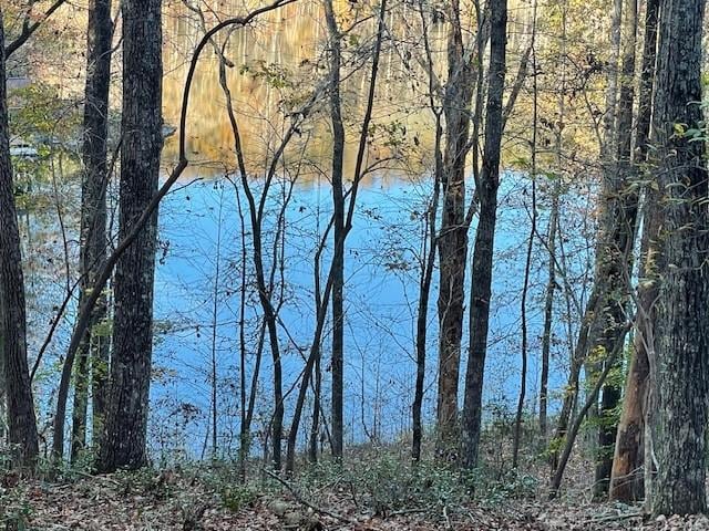 LOT242 S Laceola Rd, Cleveland GA, 30528 land for sale