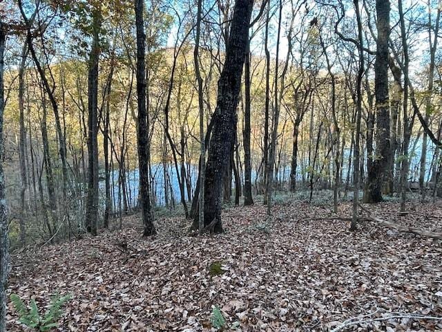 Listing photo 3 for LOT242 S Laceola Rd, Cleveland GA 30528