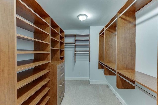 view of walk in closet