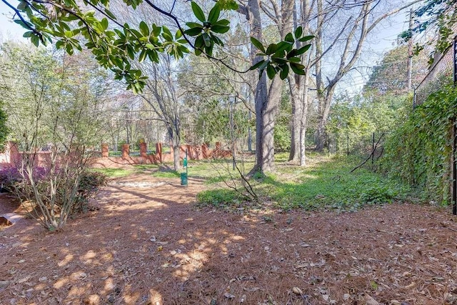 view of yard with a forest view