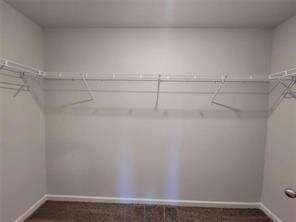 115 Deer Xing, Temple, GA 30179 - view of walk in closet