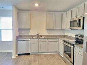 115 Deer Xing, Temple, GA 30179 - kitchen featuring stainless steel appliances, a sink, healthy amount of natural light, and light wood-type flooring