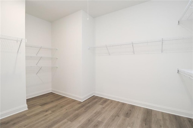 2109 Ella Springs Dr, Covington, GA 30014 - walk in closet featuring wood finished floors