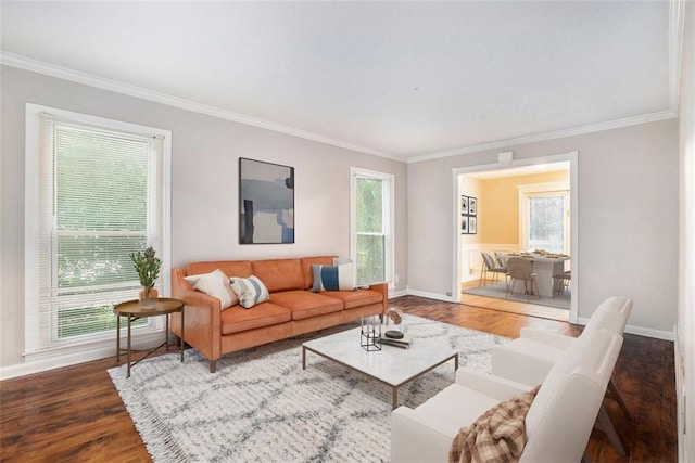 living room with plenty of natural light, crown molding, and hardwood / wood-style flooring