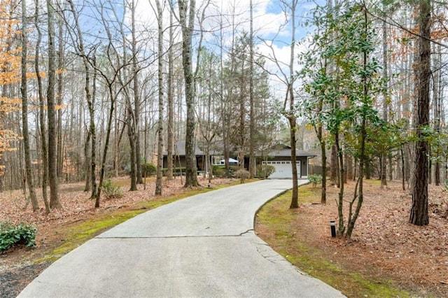 2796 County Line Rd, Acworth, GA 30101 - view of asphalt driveway