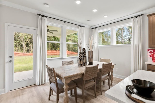 dining area featuring ceiling fan, a healthy amount of sunlight, and light hardwood / wood-style flooring