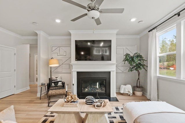 living room with hardwood / wood-style floors, ceiling fan, and crown molding