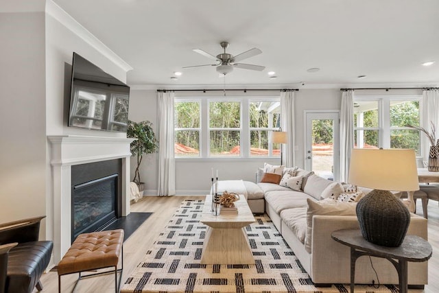 living room with ceiling fan, light hardwood / wood-style floors, and ornamental molding