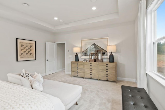 carpeted bedroom featuring a tray ceiling