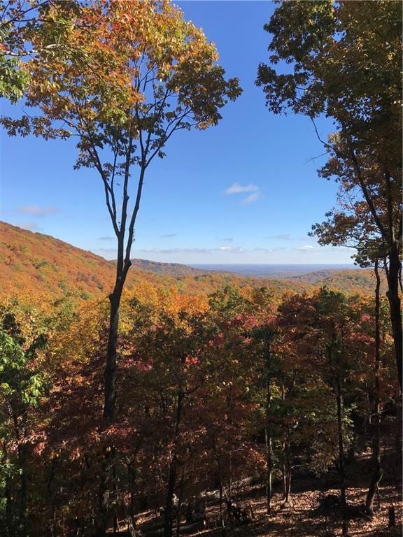 view of landscape with a forest view