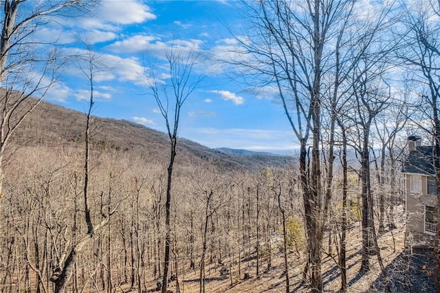 view of mountain feature featuring a wooded view