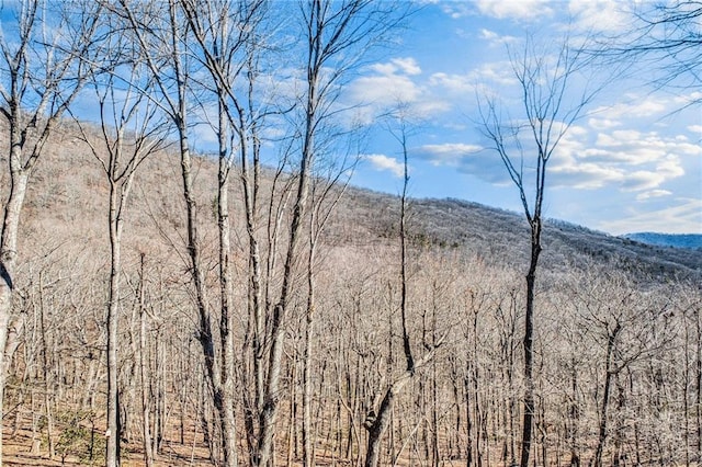 view of mountain feature featuring a forest view