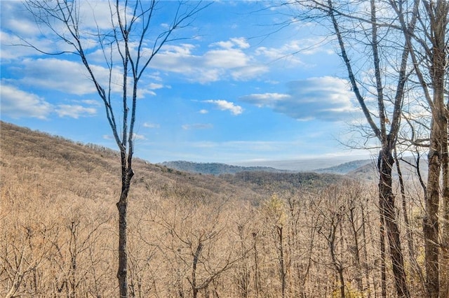 view of mountain feature with a wooded view