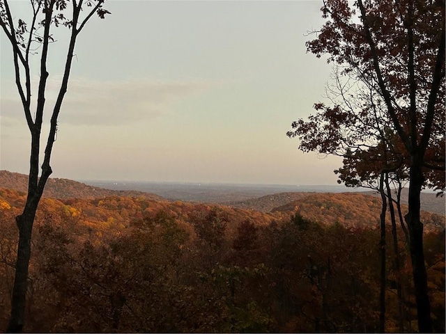 view of landscape featuring a mountain view