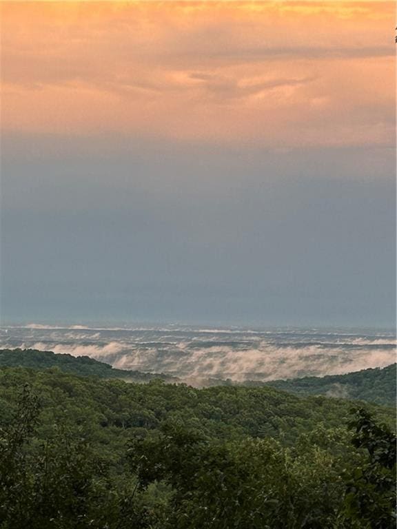 property view of water with a forest view