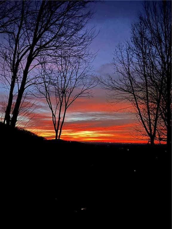 view of nature at dusk