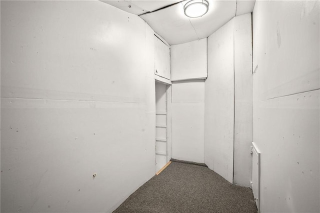 spacious closet featuring carpet