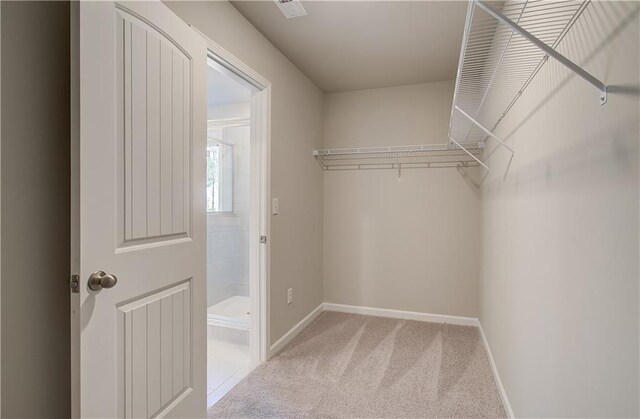 138 Crabbswood Dr, Mcdonough, GA 30253 - spacious closet with carpet flooring