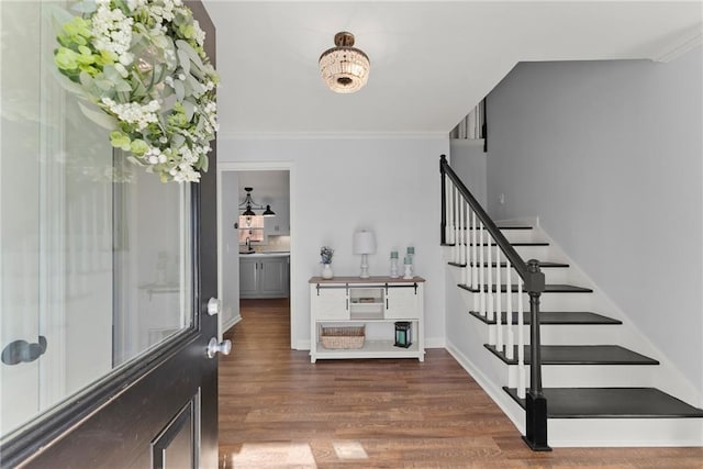 foyer featuring sink, dark hardwood / wood-style floors, and crown molding