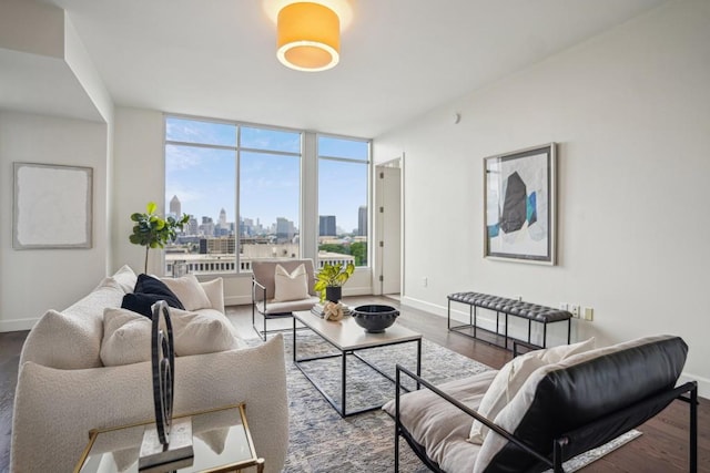 living area featuring baseboards, a view of city, and wood finished floors
