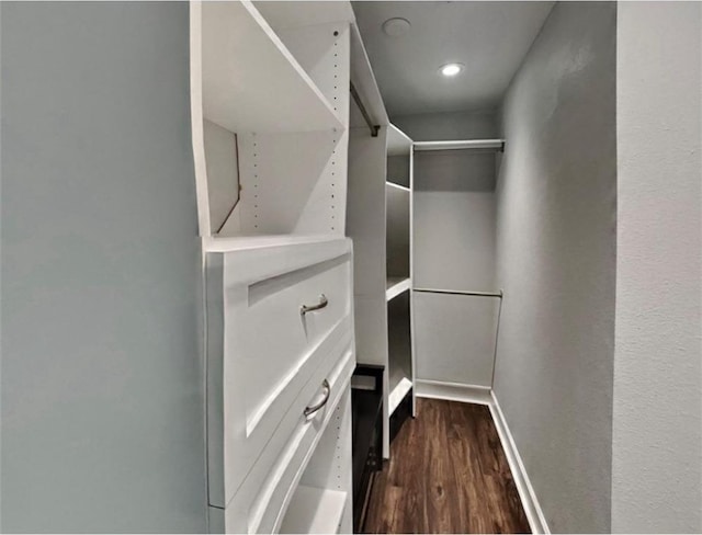 spacious closet featuring dark hardwood / wood-style flooring