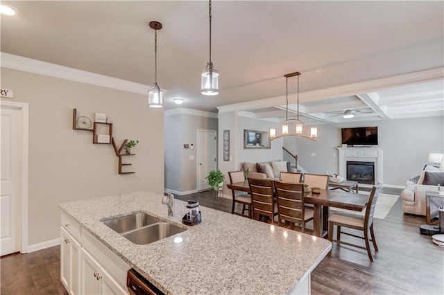 1102 Kingswood Way, Hoschton, GA 30548 - kitchen featuring open floor plan, a sink, a glass covered fireplace, decorative light fixtures, and dark wood-style flooring