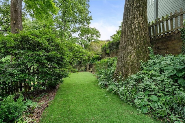 1066 High Point Dr, Atlanta, GA 30306 - view of yard