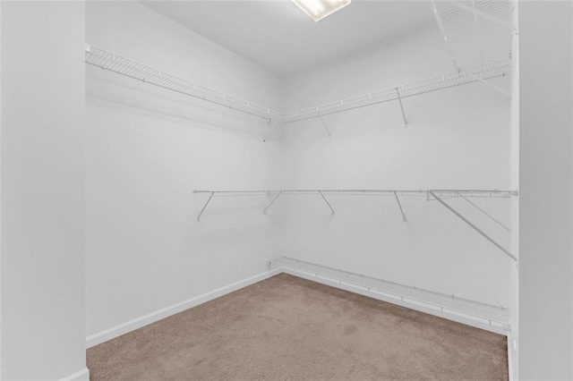 spacious closet with carpet floors