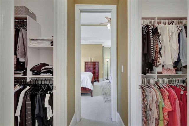 view of closet