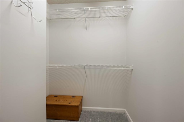spacious closet with carpet floors