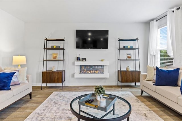 living room with wood-type flooring