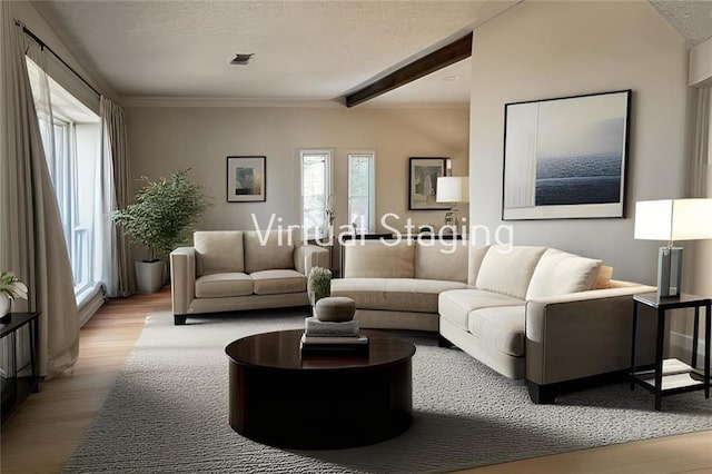 living room with beam ceiling, a textured ceiling, and wood finished floors