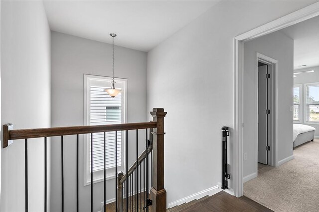 hallway with carpet floors