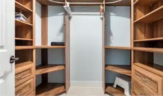 view of spacious closet