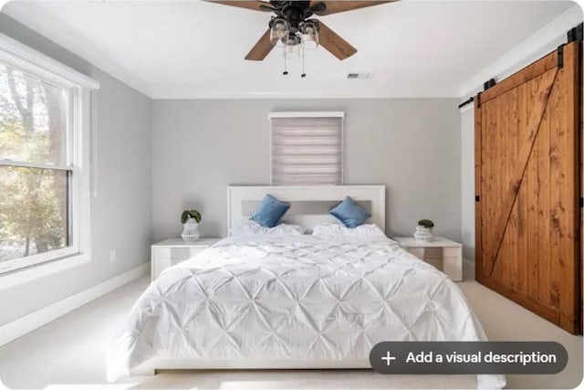 carpeted bedroom with a barn door, multiple windows, and ceiling fan