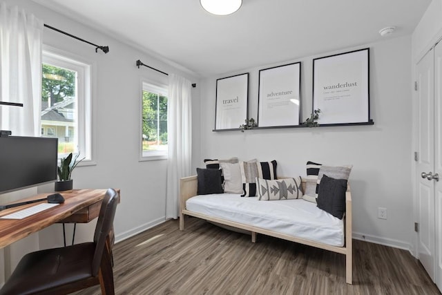 bedroom featuring wood-type flooring