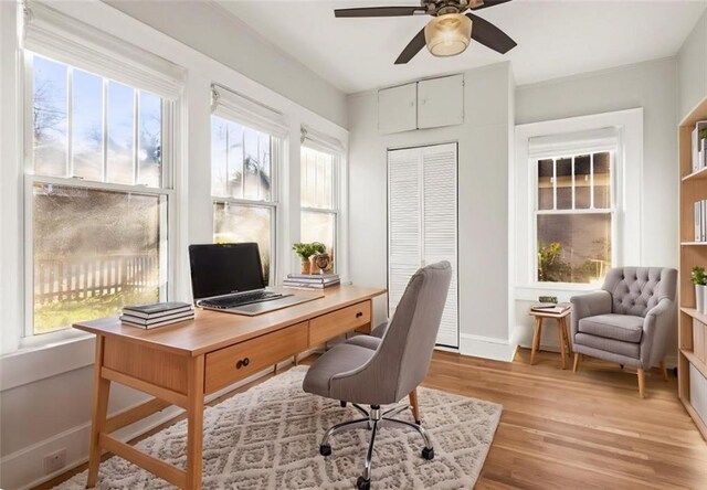 office area featuring ceiling fan and light hardwood / wood-style flooring