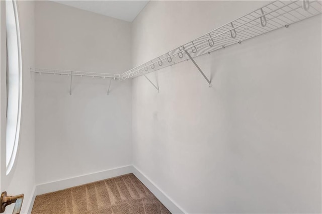 spacious closet featuring carpet floors