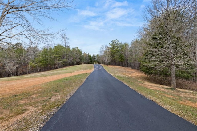 5505 Whitehall Rd, Lula, GA 30554 - view of street