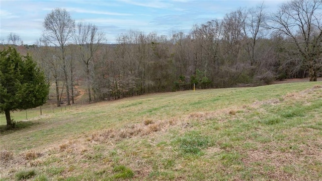 5505 Whitehall Rd, Lula, GA 30554 - view of yard featuring a wooded view