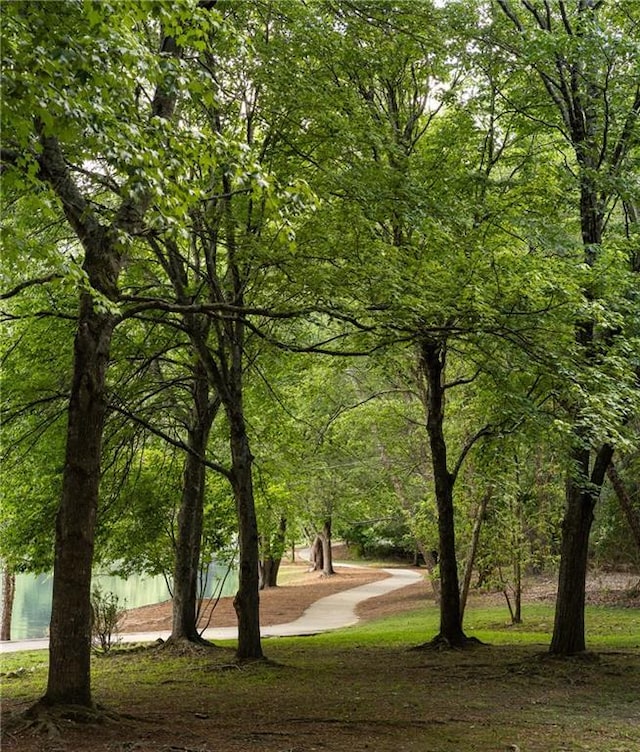 448 Teal Ct, Roswell, GA 30076 - view of community