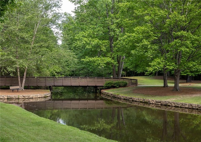 448 Teal Ct, Roswell, GA 30076 - surrounding community featuring a water view
