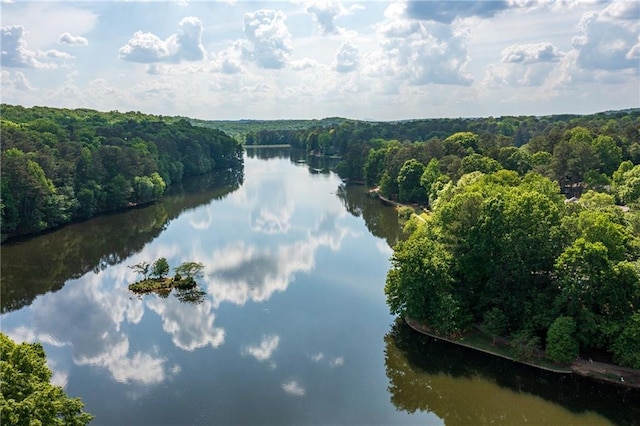 448 Teal Ct, Roswell, GA 30076 - drone / aerial view with a water view and a view of trees