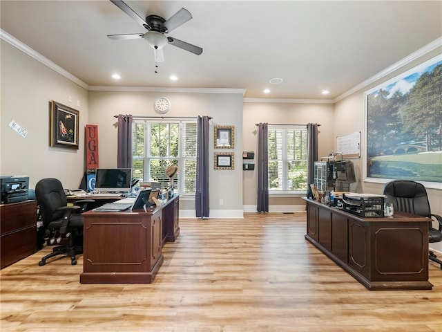 office area featuring ceiling fan, crown molding, and light wood-type flooring