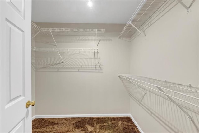 walk in closet with carpet